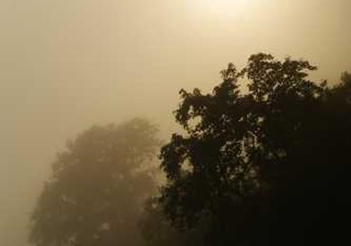 Four-Post Lift Installation