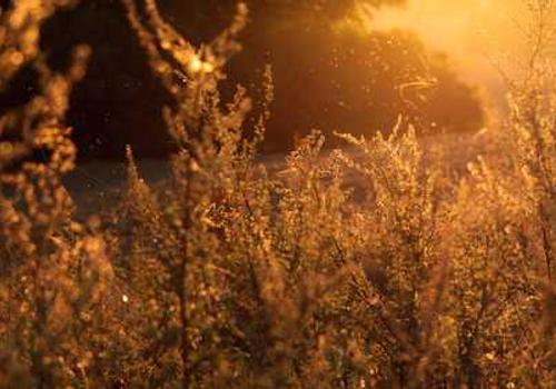 Maintenance Planning Support